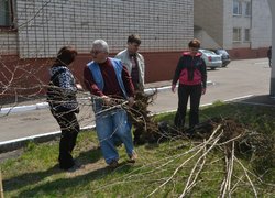Загальноуніверситетські акції «Чисте довкілля» та «Посади дерево»